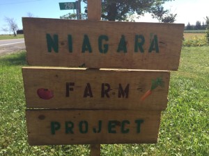 Niagara Farm Project - Community Winners!