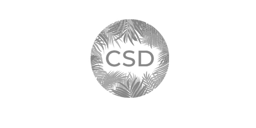 Who We Support - CSD