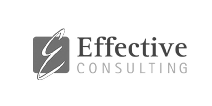 Who We Support - Effective Consulting